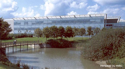 paysage du parc