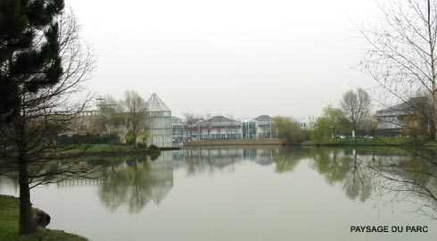 paysage du parc